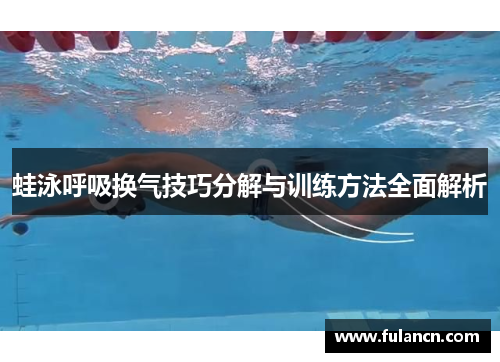 蛙泳呼吸换气技巧分解与训练方法全面解析