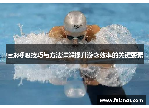 蛙泳呼吸技巧与方法详解提升游泳效率的关键要素