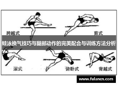 蛙泳换气技巧与腿部动作的完美配合与训练方法分析
