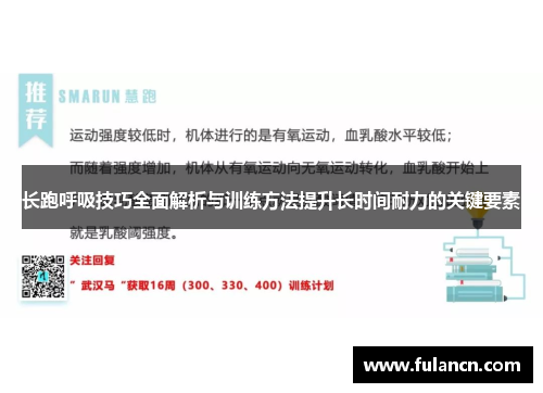 长跑呼吸技巧全面解析与训练方法提升长时间耐力的关键要素